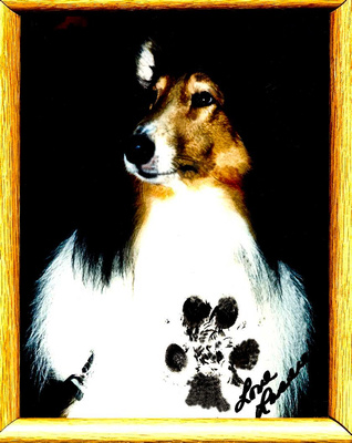 ©"Lassie" signed my picture!!